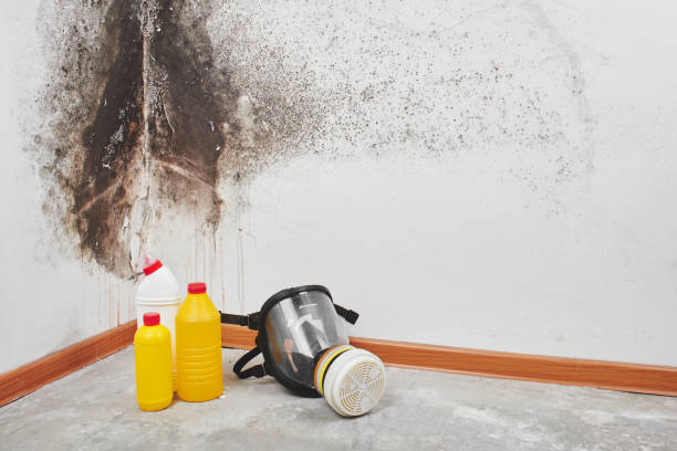 Best Commercial Mold Inspection  in Morgantown, PA